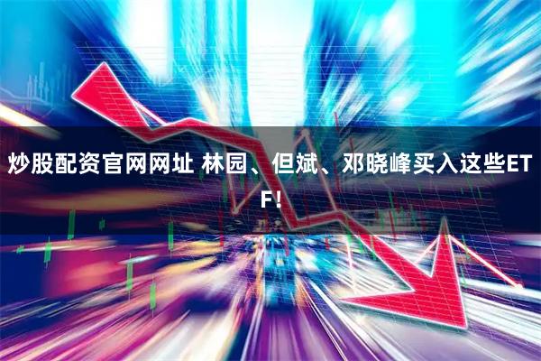 炒股配资官网网址 林园、但斌、邓晓峰买入这些ETF！