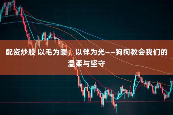 配资炒股 以毛为暖，以伴为光——狗狗教会我们的温柔与坚守